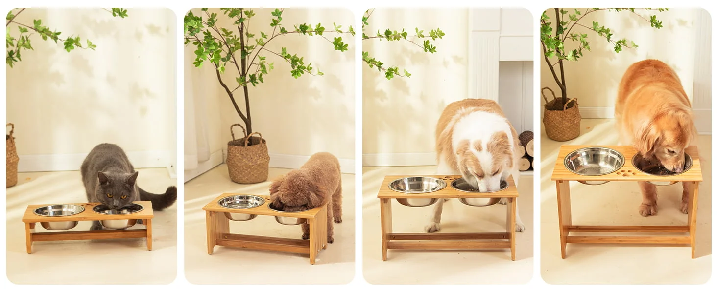 elevated dog bowls for medium dogs