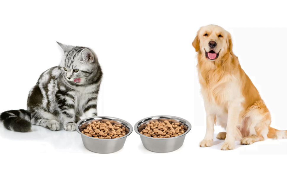 DEAYOU 4-Pack Stainless Steel Dog and Cat Bowl