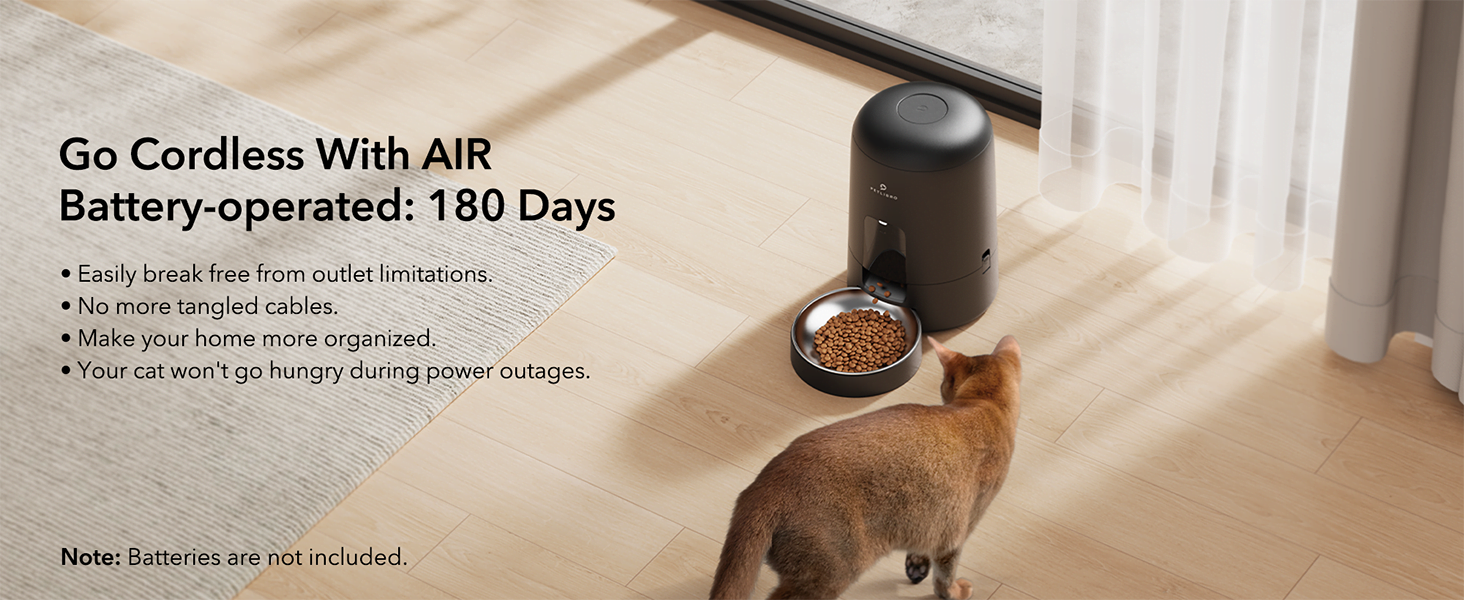 dog food dispenser automatic