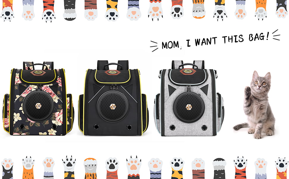 cat carrier
