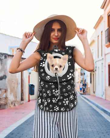 dog backpack