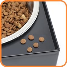 elevated dog dish