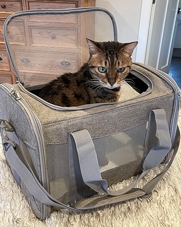 ventilate cat carrier
