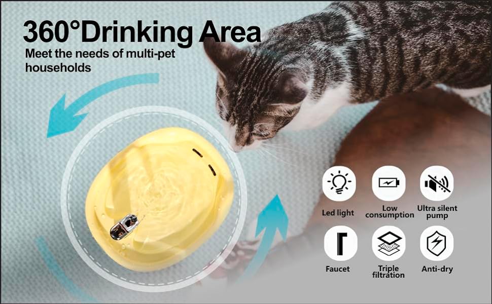 cat water fountain