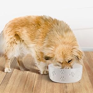 cute dog bowls for small dogs cat bowls for water dog ceramic bowl orthopedic dog bowls doggy bowls