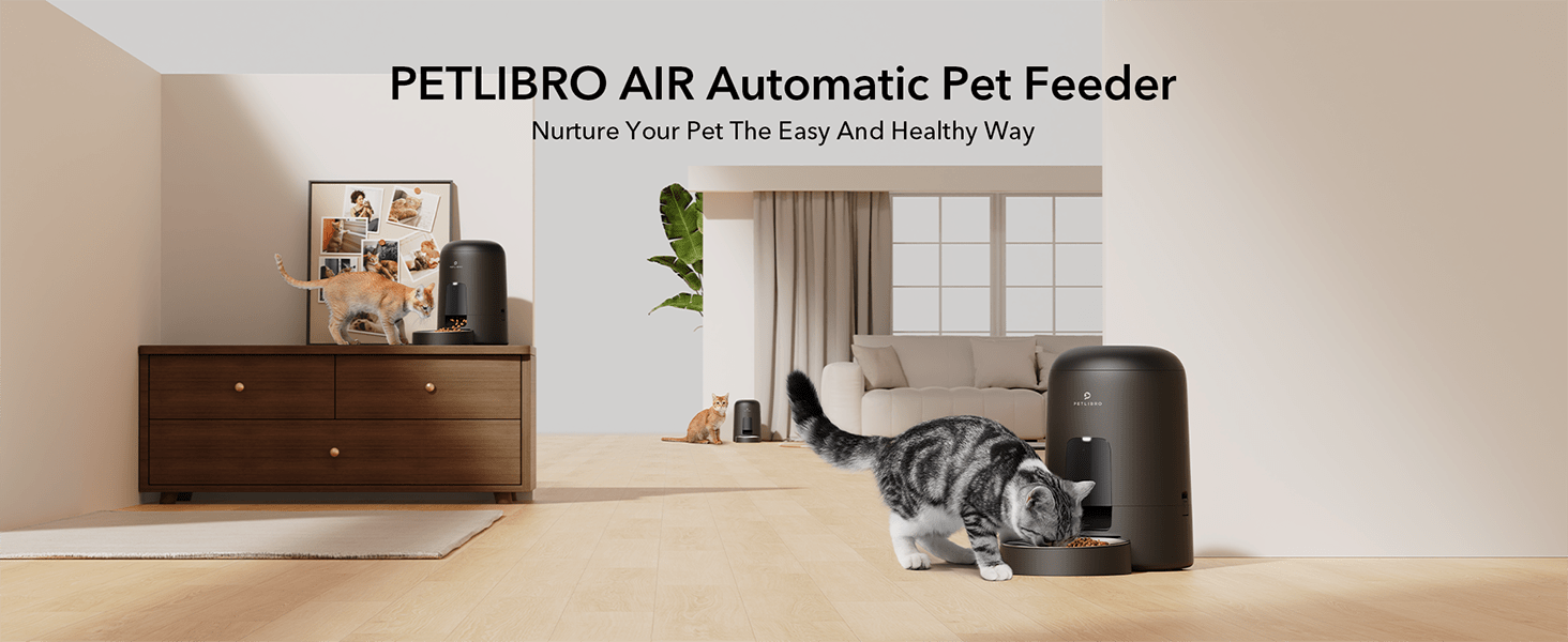 automatic cat feeder