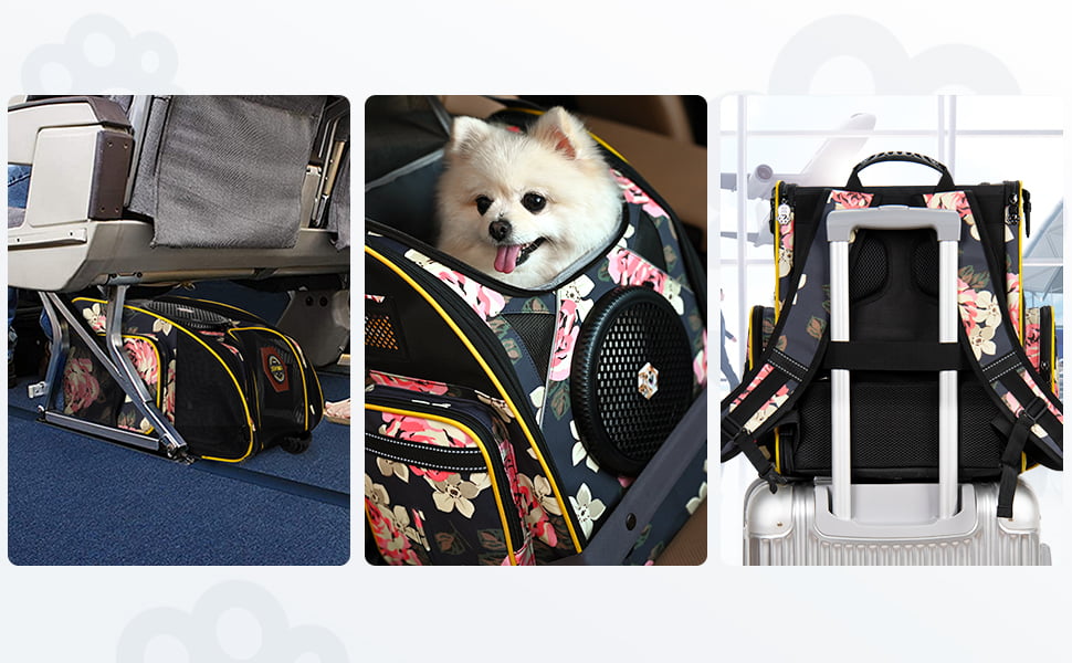 cat carrier