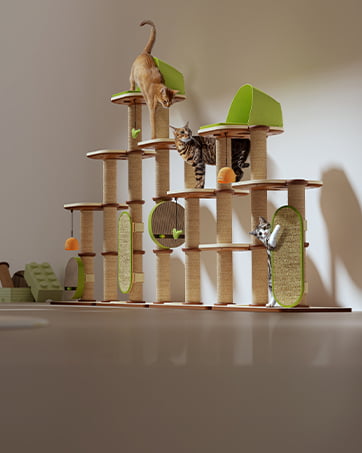 automatic cat food dispenser