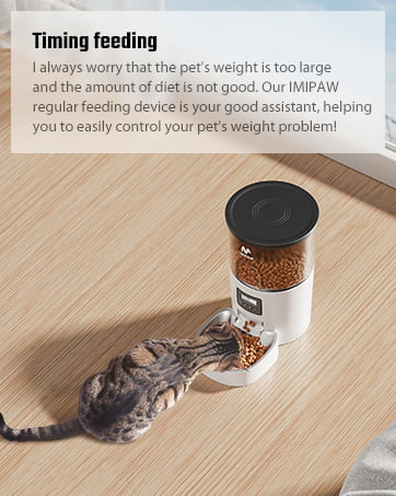 cat feeder