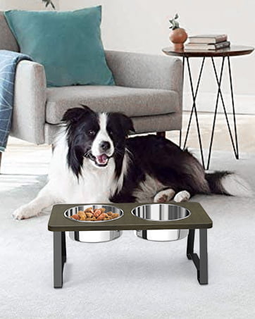 elevated dog bowls for medium dogs