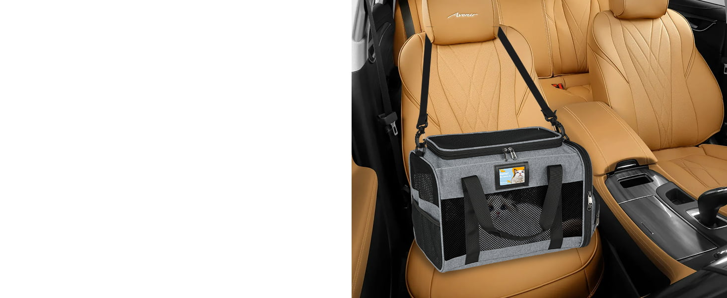 cat carrier airline approved