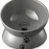 51QoGrv35YL._AC_SL1500 Y YHY Cat Bowl Anti Vomiting, Raised Cat Food Bowls, Tilted Elevated Cat Bowl, Ceramic Pet Food Bowl for Flat Faced Cats, Small Dogs, Protect Pet’s Spine, Dishwasher Safe