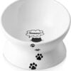 51tbgC6WwML._AC_SL1500 Y YHY Cat Bowl Anti Vomiting, Raised Cat Food Bowls, Tilted Elevated Cat Bowl, Ceramic Pet Food Bowl for Flat Faced Cats, Small Dogs, Protect Pet’s Spine, Dishwasher Safe
