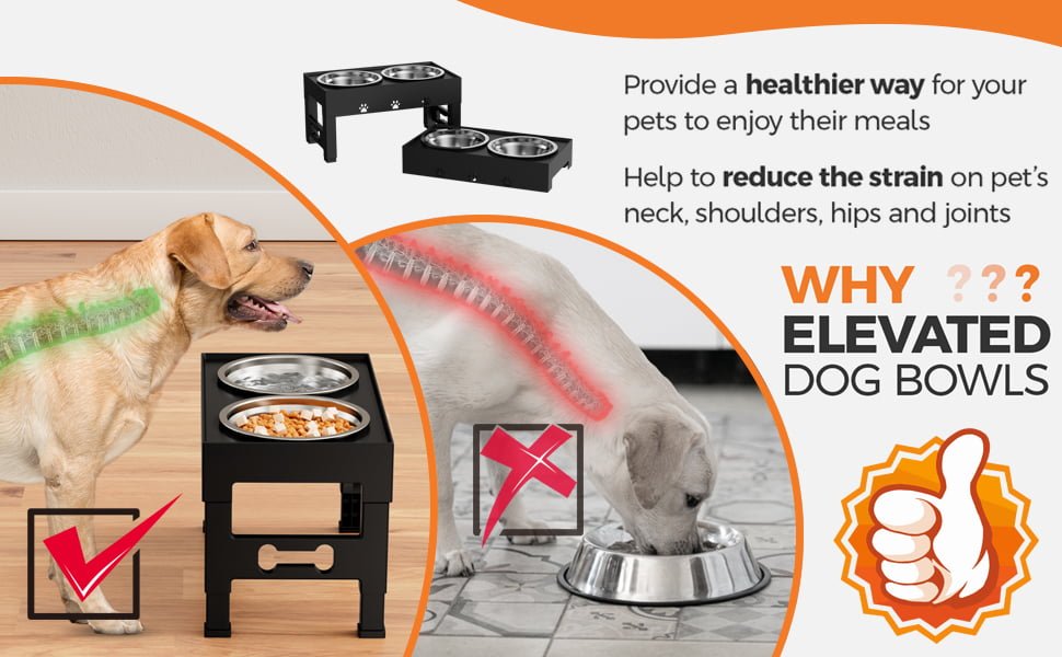 dog feeding & watering supplies