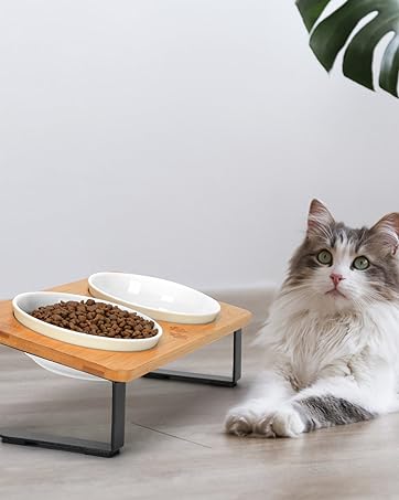 tilted cat bowls