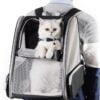 61BDcbfmxiL._AC_SL1000 Topsats Innovative Traveler Bubble Backpack Pet Carriers for Cats and Dogs