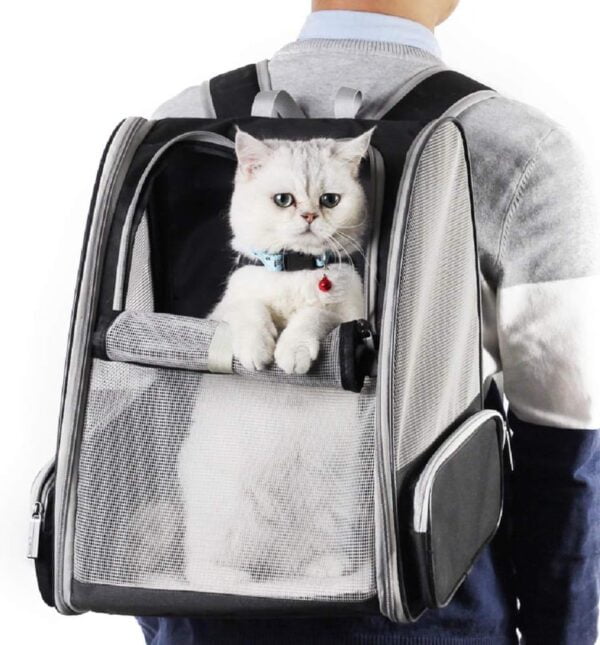 61BDcbfmxiL._AC_SL1000 Topsats Innovative Traveler Bubble Backpack Pet Carriers for Cats and Dogs