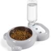 61CTODyomdL._AC_SL1500 Dog Bowls, Cat Food and Water Bowl Set with Water Dispenser and Stainless Steel Bowl for Cats and Small Dogs – Pink