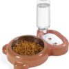 61D-Dc2-x7L._AC_SL1500 Dog Bowls, Cat Food and Water Bowl Set with Water Dispenser and Stainless Steel Bowl for Cats and Small Dogs – Pink