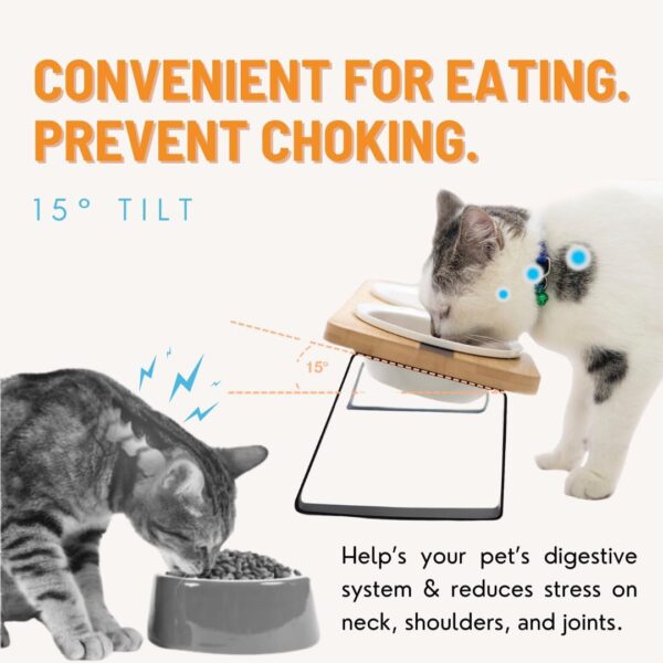 61K7Yx-3o9L._AC_SL1080 Elevated Cat Ceramic Bowls Stand for Food and Water, Small Dog, Anti Vomit, Indoor cats, Tilted Feeding Position, Full Bamboo Body Stand with Food Grade, Whisker Friendly Dish for Cats and Puppy