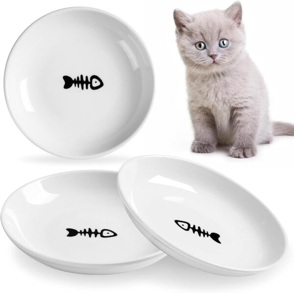 61NCA7qsF_L._AC_SL1500 Cat Bowls, Elevated Cat Bowl, Raised Ceramic Cat Dish with Metal Stand, Pet Water or Food Feeding Station for Indoor Cats, Kitten, Puppies and Small Dogs(2 Pack)