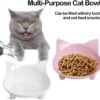 Skrtuan Cat Bowl Cat Food Bowls Non Slip Dog Dish Pet Food Bowls Shallow Cat Water Bowl Cat Feeding Wide Bowls to Stress Relief of Whisker Fatigue Pet Bowl of Rabbits Puppy(Safe Food-Grade)
