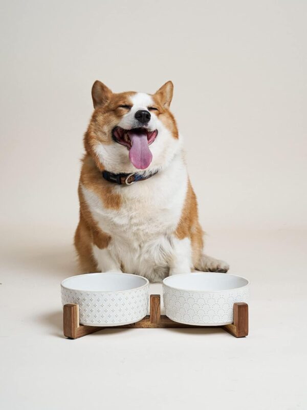 61XYm9PJ-NL._AC_SL1500 LE TAUCI Dog Bowls Ceramic, Bowl Set with Acacia Wood Stand, 3 Cups Dog Food and Water Bowl for Small Medium Sized, Weighted Dog, Pet Bowls