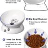 61YIJ994e2L._AC_SL1500 Y YHY Cat Bowl Anti Vomiting, Raised Cat Food Bowls, Tilted Elevated Cat Bowl, Ceramic Pet Food Bowl for Flat Faced Cats, Small Dogs, Protect Pet’s Spine, Dishwasher Safe