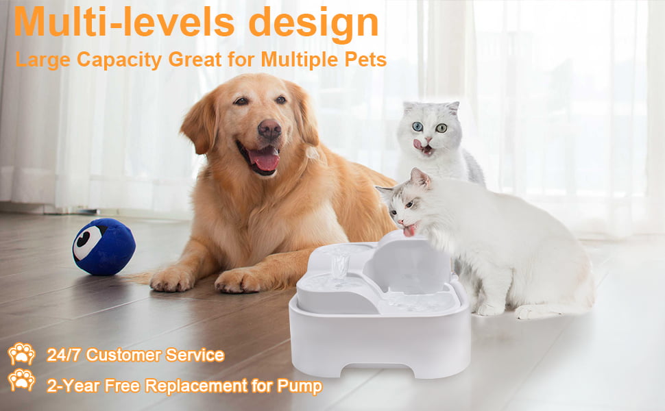 cat water fountains