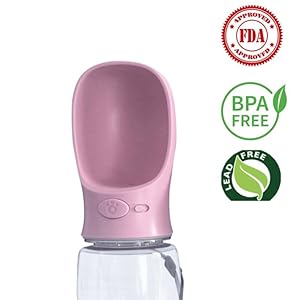BPA Free Bottle