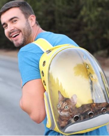 cat backpack bubble
