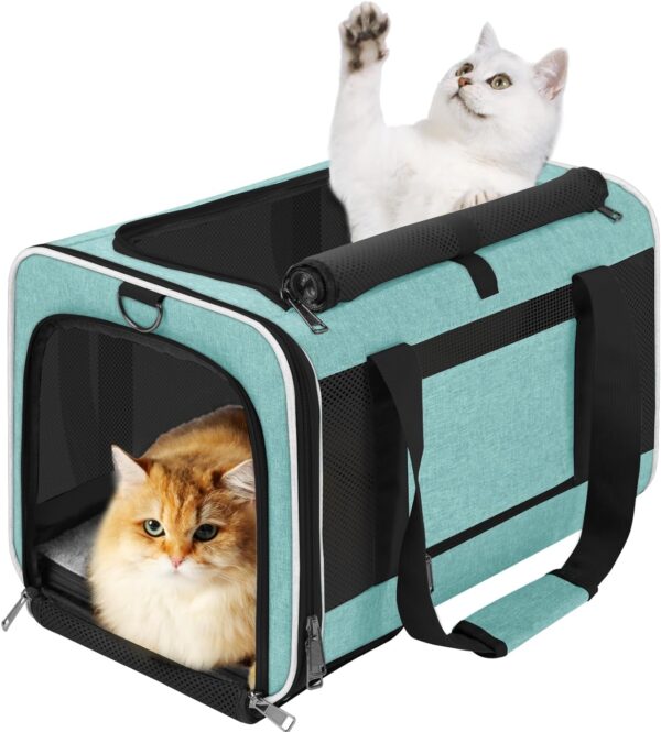 715Jf0NWROL._AC_SL1500 Pet Carrier for Large Cats 20 lbs+ / Soft Sided Small Dog Travel Carrier Top Load/Collapsible Carrier Bag for Big Cat / 2 Kittens Sturdy Transport Carrier Long Trips/Medium Cats 15 pounds