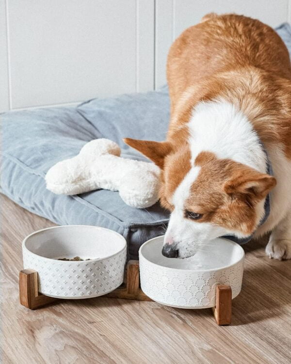 7175h2UyW-L._AC_SL1500 LE TAUCI Dog Bowls Ceramic, Bowl Set with Acacia Wood Stand, 3 Cups Dog Food and Water Bowl for Small Medium Sized, Weighted Dog, Pet Bowls
