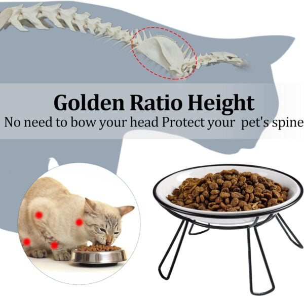 718vM4DAwML._AC_SL1500 Cat Bowls, Elevated Cat Bowl, Raised Ceramic Cat Dish with Metal Stand, Pet Water or Food Feeding Station for Indoor Cats, Kitten, Puppies and Small Dogs(2 Pack)