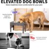 71A8_0rnvZL._AC_SL1500 Elevated Dog Bowls – The Perfect Feeding Solution for Dogs