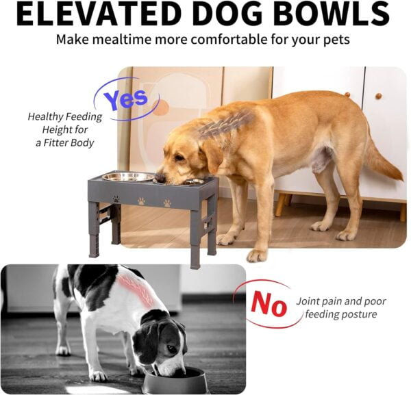 71A8_0rnvZL._AC_SL1500 Elevated Dog Bowls – The Perfect Feeding Solution for Dogs