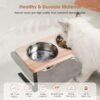 Elevated Cat Bowls, 15° Tilted Raised Cat Food Bowls Wood Pet Bowls with Stand Anti Vomiting 2 Stainless Steel Bowls for Cats and Puppy