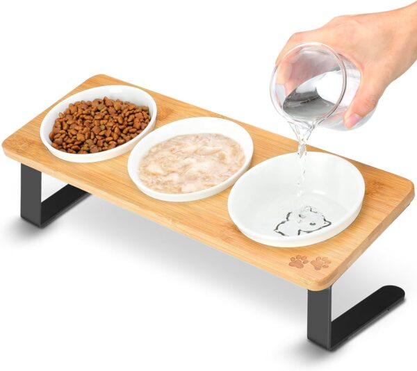 Ceramic Elevated Cat Bowls, 10° Tilted Raised Cat Food Bowls for Food and Water, Indoor Cat Dishes with Bamboo Stand Anti Vomiting for Cats and Puppy, Pet Bowl Set with Anti Slip Feet, Dishwasher Safe