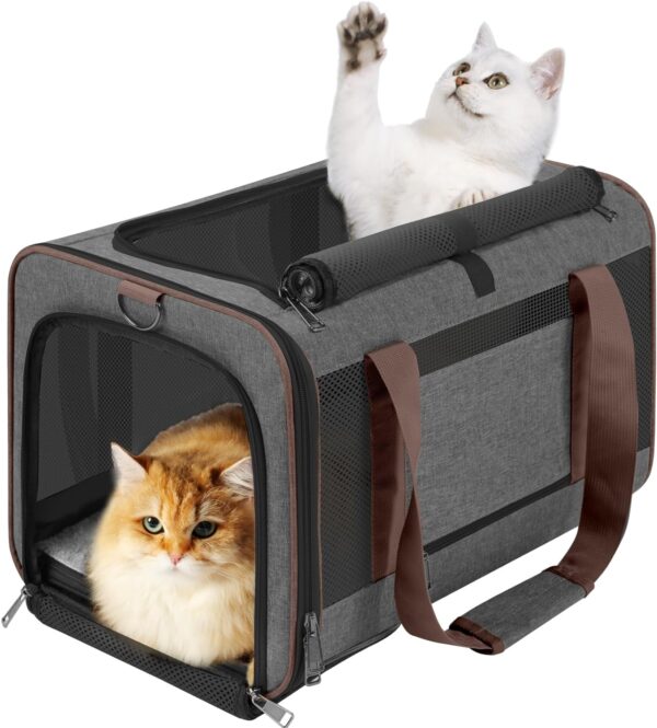 71CoyOKTvjL._AC_SL1500 Pet Carrier for Large Cats 20 lbs+ / Soft Sided Small Dog Travel Carrier Top Load/Collapsible Carrier Bag for Big Cat / 2 Kittens Sturdy Transport Carrier Long Trips/Medium Cats 15 pounds