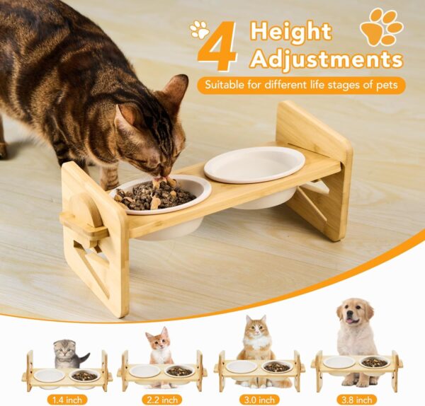 71DYsei6I5L._AC_SL1500 Elevated Pet Bowls for Cats & Small Dogs, Natural Bamboo with Ceramic Raised Small Dog Bowls, Cat Food Dish Bowls Elevated and 15° Tilted, Whisker Friendly, Dishwasher Safe