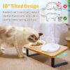 Ceramic Elevated Cat Bowls, 10° Tilted Raised Cat Food Bowls for Food and Water, Indoor Cat Dishes with Bamboo Stand Anti Vomiting for Cats and Puppy, Pet Bowl Set with Anti Slip Feet, Dishwasher Safe