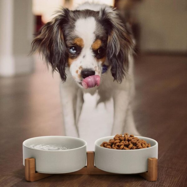 71IGgF0jyAL._AC_SL1500 SPUNKYJUNKY Ceramic Dog and Cat Bowl with Wood Stand Non-Slip Matte Glaze Weighted Food Water Set for Cats &Small Dogs 13.5OZ