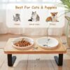 Ceramic Elevated Cat Bowls, 10° Tilted Raised Cat Food Bowls for Food and Water, Indoor Cat Dishes with Bamboo Stand Anti Vomiting for Cats and Puppy, Pet Bowl Set with Anti Slip Feet, Dishwasher Safe