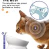 71KsWda47dL._AC_SL1500 Y YHY Cat Bowl Anti Vomiting, Raised Cat Food Bowls, Tilted Elevated Cat Bowl, Ceramic Pet Food Bowl for Flat Faced Cats, Small Dogs, Protect Pet’s Spine, Dishwasher Safe