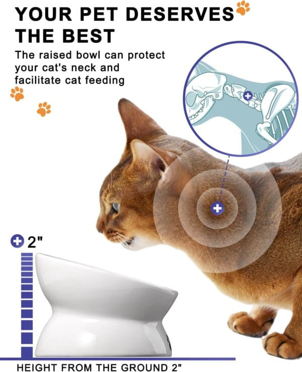 71KsWda47dL._AC_SL1500 Y YHY Cat Bowl Anti Vomiting, Raised Cat Food Bowls, Tilted Elevated Cat Bowl, Ceramic Pet Food Bowl for Flat Faced Cats, Small Dogs, Protect Pet’s Spine, Dishwasher Safe
