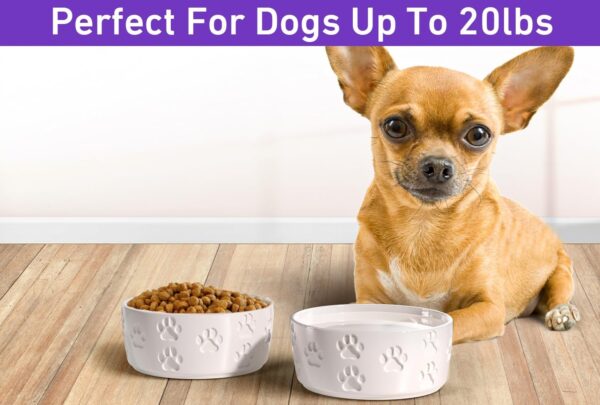 71N5V00b0fL._AC_SL1500 Ceramic Dog Bowl Set with Anti-Slip Rings – 5″ Round x 2″ Tall Set of 2 Ceramic Dog Bowls for Small Dogs – Small Dog Bowls – Dog Food and Water Bowl – White Dog Food Bowls – Dog Bowls Small Size Dog