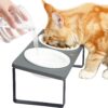 71NSVrbm4wL._AC_SL1500 Ceramic Elevated Cat Bowls, Raised Puppy Dishes for Food and Water, Tilted Bamboo Stand for Anti Vomiting, Indoor 5.5 inch Wide Double Dish Orthopedic Anti-Vomiting (Brown)