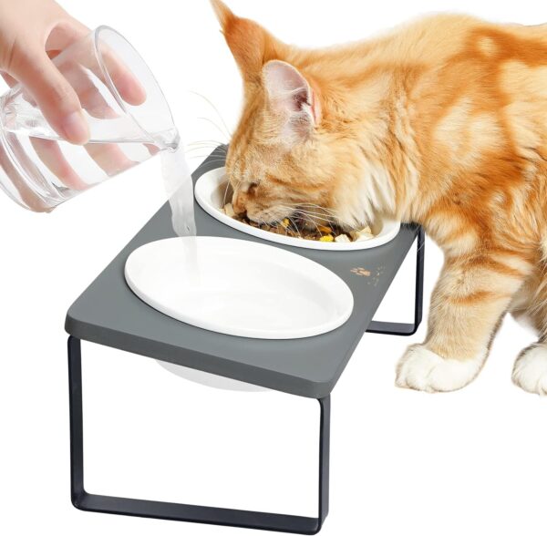 71NSVrbm4wL._AC_SL1500 Ceramic Elevated Cat Bowls, Raised Puppy Dishes for Food and Water, Tilted Bamboo Stand for Anti Vomiting, Indoor 5.5 inch Wide Double Dish Orthopedic Anti-Vomiting (Brown)