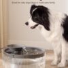 71T-kcJgc5L._AC_SL1500_6f6a68c8-642e-4f4a-a437-ef1ef5bb3098 Dog Water Fountain Dispenser for Large Dogs: Automatic Water Bowl Dispenser for Cat & Dogs Inside 168oz/5L Big Fountain Water Bowl