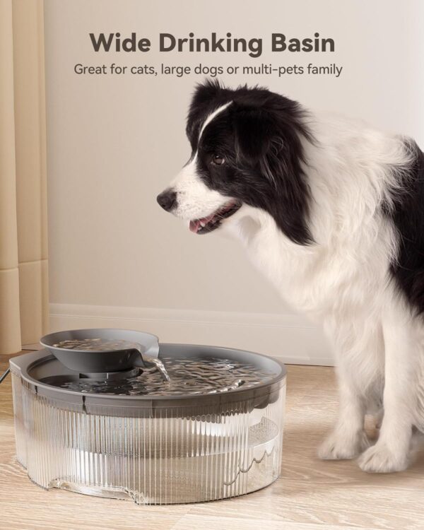 71T-kcJgc5L._AC_SL1500_6f6a68c8-642e-4f4a-a437-ef1ef5bb3098 Dog Water Fountain Dispenser for Large Dogs: Automatic Water Bowl Dispenser for Cat & Dogs Inside 168oz/5L Big Fountain Water Bowl